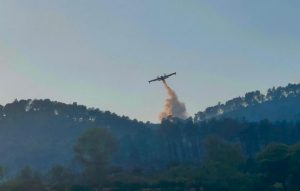 تاونات: فرق التدخل الميداني تتمكن من إحتواء الحريق بغابة جبل إيغل الذي أتى على 45 هكتارا من الأشجار
