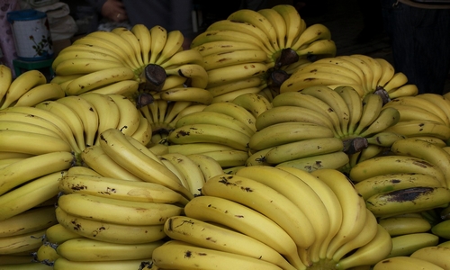 دراسة: قشر الموز يخفض مستوى الكوليسترول بالدم