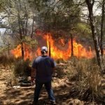 المجلس الإقليمي للغابات يعقد دورته الربيعية والمدير الإقليمي يسجل أن متوسط حرائق الغابات بتاونات يقدر ب 12.6 حريق في السنة