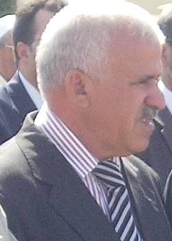 محمد الحناوي