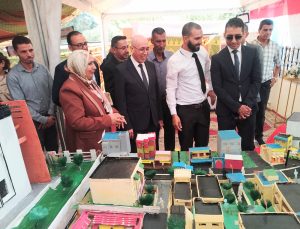  هذا ما جرى في الملتقى الإقليمي الثالث لإبداعات الطفولة والشباب بتيسة بإقليم تاونات