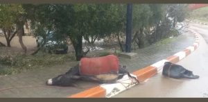 الكهرباء يصعق ‘حمار’ بطريق حي أسطار بمدينة تاونات