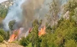نشوب حريق مهول بدوار “بني قرة” بجماعة بوعادل بضواحي تاونات‎
