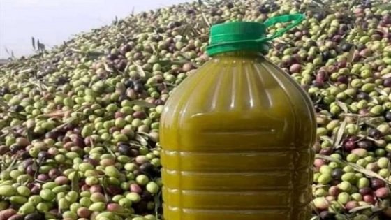 حسب الحكومة:عرف إنتاج زيت الزيتون تراجعا بمعدل 100 ألف طن