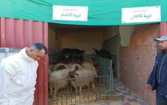 توزيع تجهيزات ومعدات مقتناة لفائدة 18 من السجناء السابقين بإقليم تاونات