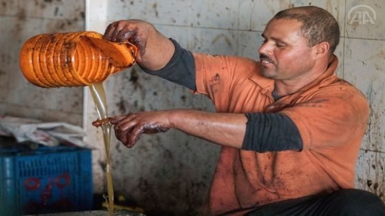 هذه هي ذكريات وطقوس عصر زيت الزيتون بالطاحونة التقليدية بإقليم تاونات