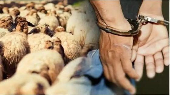 إيقاف “فراقشي” صاحب سوابق متعددة بغفساي بتاونات