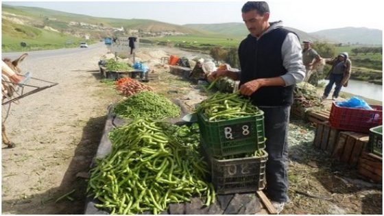 بيع الخضر بين فاس وتاونات … يجذب القرويين ويُغضب السلطات