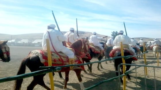 مهرجان الفروسية بتيسة يسدل ستاره على وقع التبوريدة وجوائز للفرسان