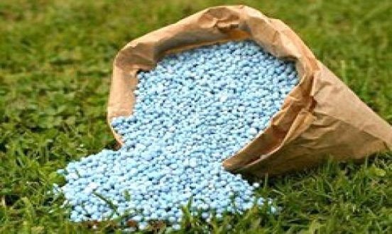 إستخدام 43500 طن من الأسمدة بجهة فاس خلال 2018 وتاونات في طليعة الأقاليم التي تتركز فيها الأراضي الصالحة للزراعة