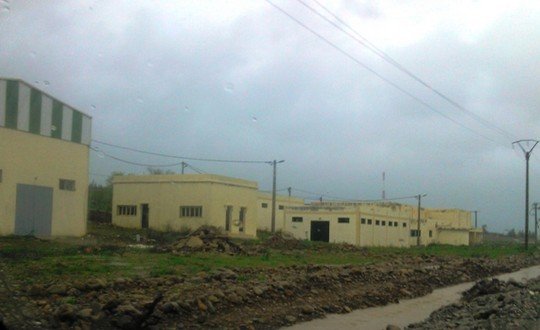 مصنع الحليب وتسمين العجول وتقطير الأعشاب بساحل بوطاهر بتاونات يصله التيار بعد 9 من الانتظار