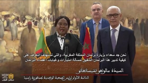 نائب إقليم تاونات محمد الحجيرة يشارك بمعية رئيس مجلس النواب في مباحثات مع وفد برلماني من زامبيا
