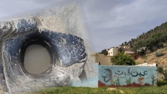 “عين الحوت” بعين مديونة بضواحي تاونات.. نبع ماء تجاوز عمره القرن ولغزه يحبس الأنفاس