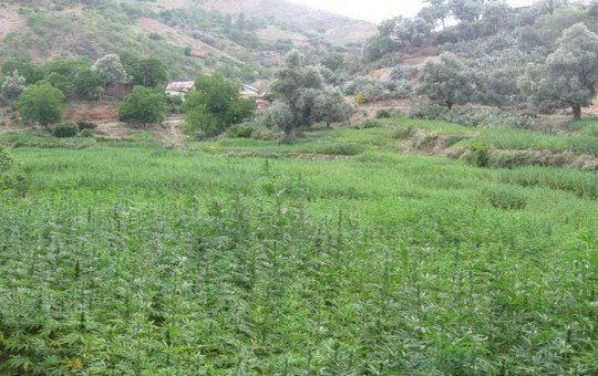 مواطنون يحاصرون قائداً بمعية عوني سلطة داخل سيارة من نوع "داستر" بغفساي نواحي تاونات