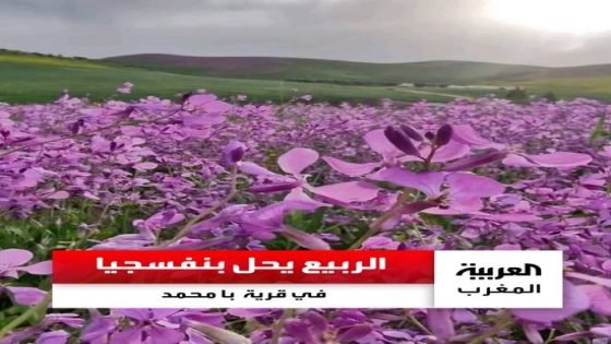موقع قناة “العربية” ينشر صورا رائعة وجميلة من منطقة قرية با محمد بإقليم تاونات