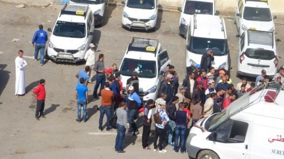 كلاب ضالة تخرق هدنة مؤقتة بمدينة تاونات ومركزها بحاجة لدوريات أمنية ليلية