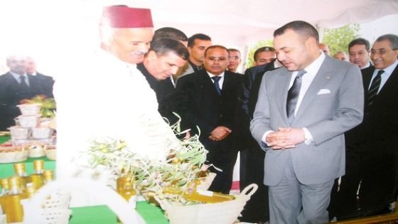 بلدية غفساي تحتضن مهرجان شجرة الزيتون يومي 24 و 25 دجنبر 2015