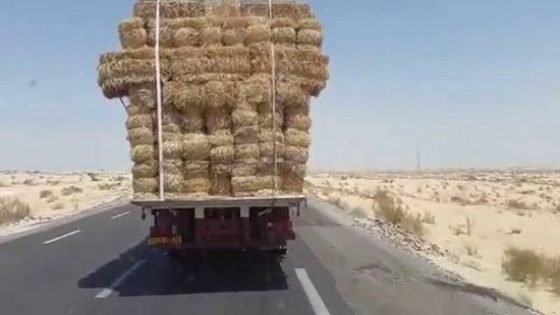 اعتقال شاب كاد يتسبب في كارثة بعدما أضرم النار في شاحنة تنقل التبن بغفساي بتاونات
