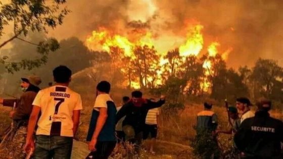 بينها تاونات وطنجة.. تحذيرات من اندلاع حرائق الغابات في عدد من الأقاليم تزامنا مع الحرارة المفرطة