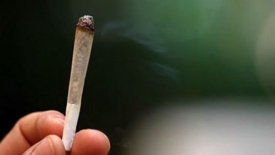 في نظر 3 تقارير دولية حول المخدرات..المغرب يحتل الصدارة في الإنتاج