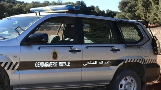 الدرك الملكي ل’عين عائشة’  بتنسيق مع ‘ديستي’  تاونات يحبطان سيارة محملة بالمخدرات 
