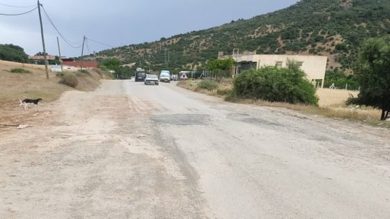 مستعملو الطريق 510 الرابط بين قنطرة أسكار والقنطرة الجديدة بتاونات يشتكون…