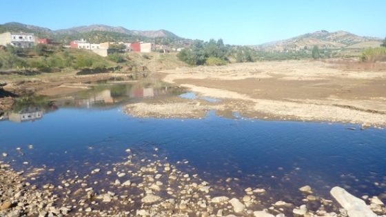 قوى مدنية وحقوقية بتاونات تصدر بيانا حول الجرائم البيئية لمعاصر الزيتون باقليم تاونات