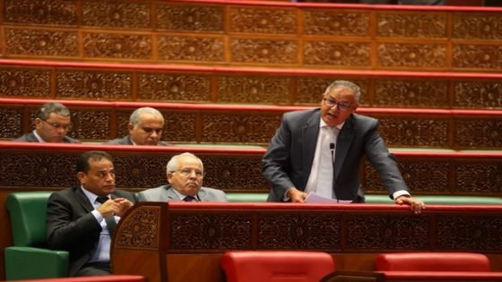 إبن تاونات الخمار المرابط يدعو لإبرام شراكات مع الفاعلين في مجال التطوع من أجل تطوير مهارات الشباب