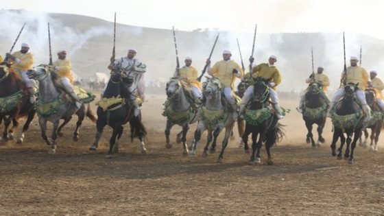 اختتام فعاليات الدورة 34 لمهرجان الفروسية بتيسة إقليم تاونات