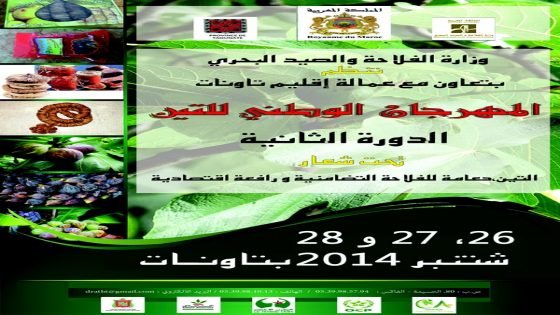 المهرجان الثاني للتين بتاونات