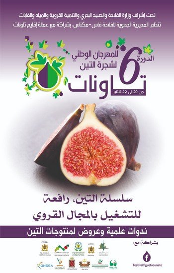 ملصق الدورة السادسة لمهرجان التين بتاونات