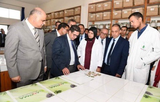 زيارة تفقدية للوزير أمزازي لمقر الوكالة الوطنية للنباتات العطرية والطبية بتاونات