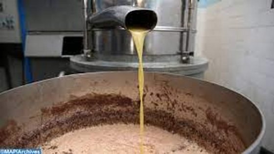 هذا هو المشروع المبرمج بإقليم تاونات الذي يعد من المشاريع المبرمجة للنهوض بسلسلة الصناعات الفلاحية بجهة فاس مكناس