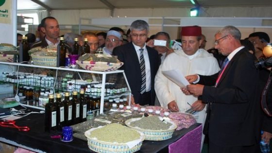 خلاصات وتوصيات اليوم الدراسي حول “واقع وآفاق تثمين النباتات العطرية والطبية” بجهة تازة الحسيمة تاونات