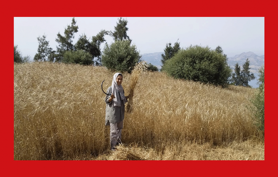Mme Souad Azennoud ds sa ferme en Eté