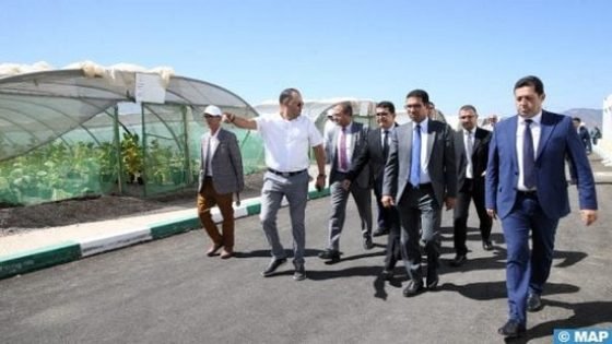 محمد الكروج وصالح دحا يدشنان أول معمل لتحويل القنب الهندي المشروع بإقليم تاونات