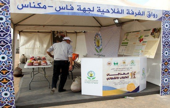 إختتام الدورة الأولى لمهرجان الحبوب والقطاني بقرية با محمد إقليم تاونات