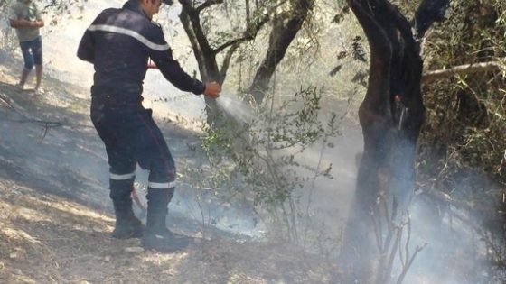 إندلاع حريق بمنطقة قرب حي اخمالشة من جهة الشاطو وسط تاونات المدينة