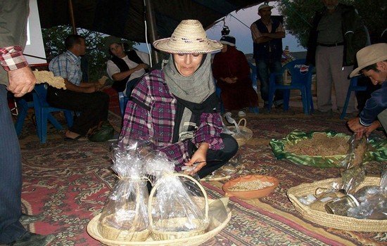 Souad Azennoud presidente de Cooperative