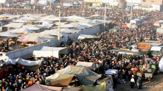 المجلس الاقتصادي والاجتماعي والبيئي يقترح 10 إجراءات لتطوير الأسواق الأسبوعية بالعالم القروي