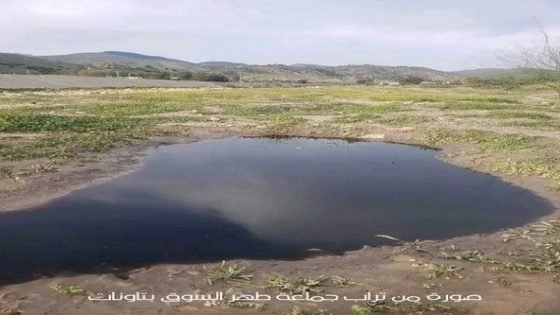 وسائل إعلام وطنية تتناول آثار المرجان على البيئة بعد بيان استنكاري أصدرته جمعيات مدنية بإقليم تاونات