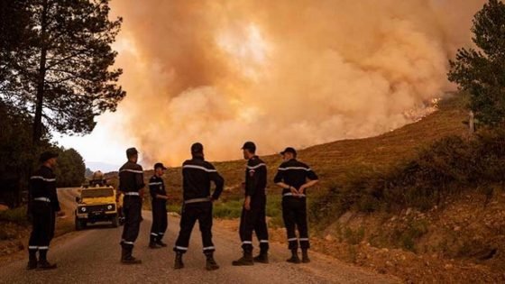 بعد تمكن السلطات من إحتواء حريق غابة “خندق تسيانة” بجماعة كلاز بتاونات..المتضررون ينتظرون الدعم