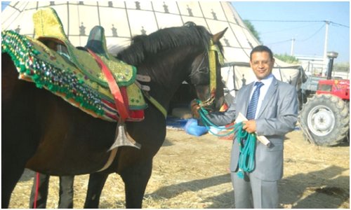 المهندس عبد الحميد الجناتي رئيس فيدرالية الوفاق لمهرجان الفروسية