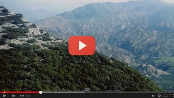 بني وليد -إقليم تاونات (المغرب)