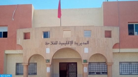 مديرية الفلاحة بتاونات:التساقطات المطرية الأخيرة كان لها وقع جد إيجابي على القطاع الفلاحي