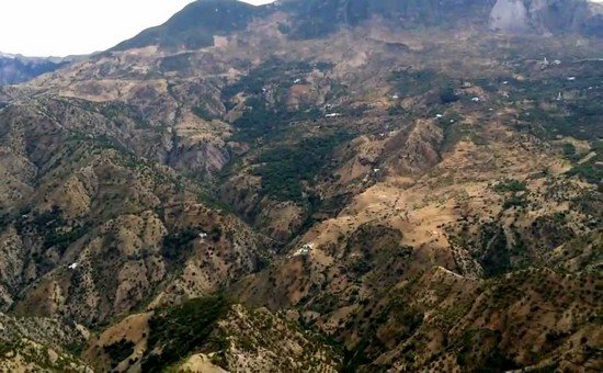 فقدان هكتارات سنويا بسبب قلة المراقبة ونشطاء يطالبون بالتدخل العاجل