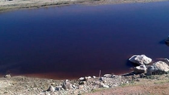 بسبب المرجان ..سلطات تاونات تستصدر قرار منع اشتغال 4 وحدات لاستخلاص زيت الزيتون بالإقليم