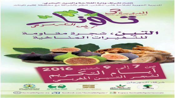 المهرجان الوطني للتين الدروة الثالثة – تاونات ارض الكرموس