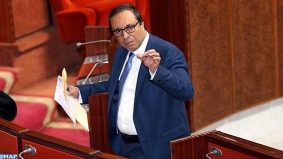الوزير اعمارة يكشف موعد إنجاز الطريق السريع فاس– تاونات بالبرلمان