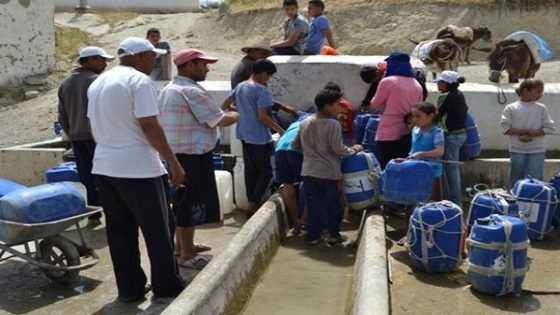 كَزار ومعشي باللفت.. تاونات نموذجا !